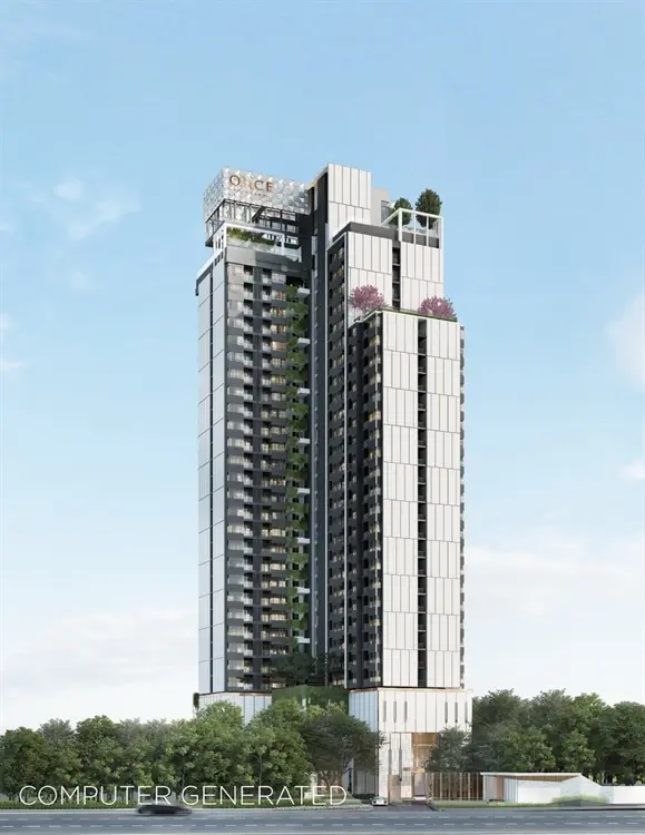 วันซ์ พัทยา